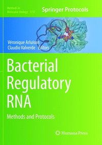 bokomslag Bacterial Regulatory RNA