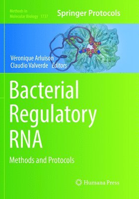 Véronique Arluison, Claudio Valverde - Bacterial Regulatory RNA, Häftad