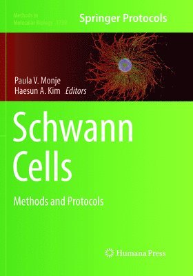 bokomslag Schwann Cells