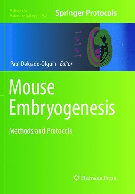 bokomslag Mouse Embryogenesis