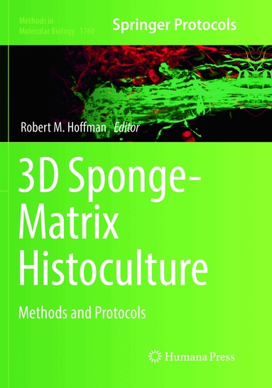 Robert M. Hoffman - 3D Sponge-Matrix Histoculture, Häftad