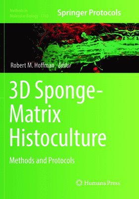 bokomslag 3D Sponge-Matrix Histoculture