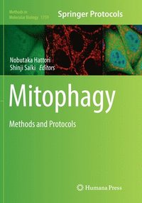 bokomslag Mitophagy