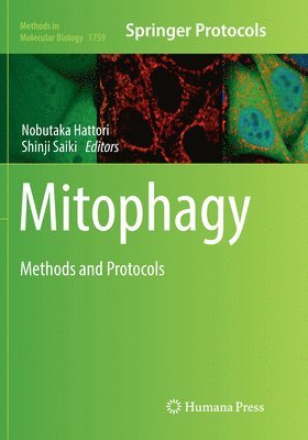 Mitophagy 1