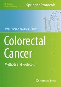 bokomslag Colorectal Cancer