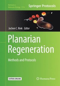 bokomslag Planarian Regeneration