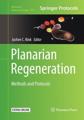 Planarian Regeneration 1