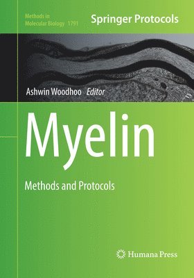 bokomslag Myelin