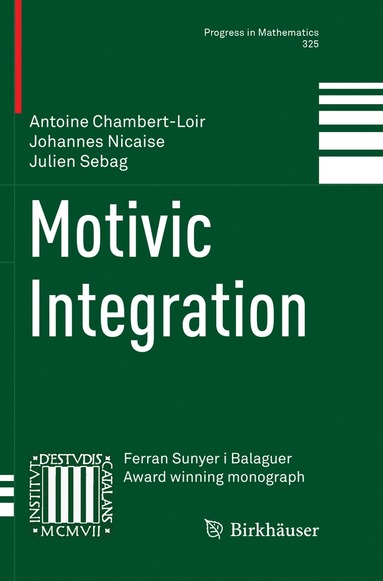 bokomslag Motivic Integration