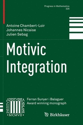Motivic Integration 1