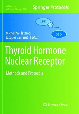 Thyroid Hormone Nuclear  Receptor 1