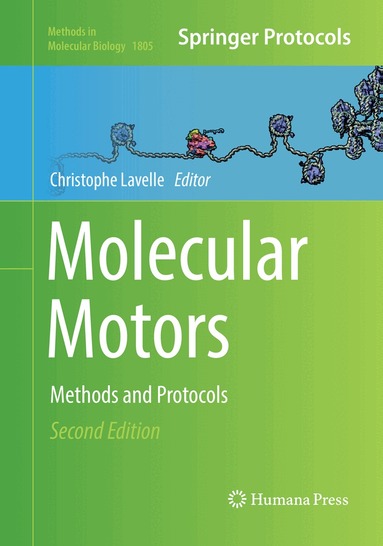 Christophe Lavelle - Molecular Motors, Häftad