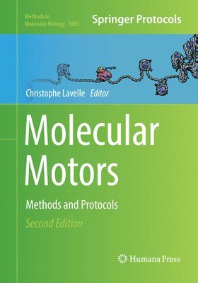 Molecular Motors 1