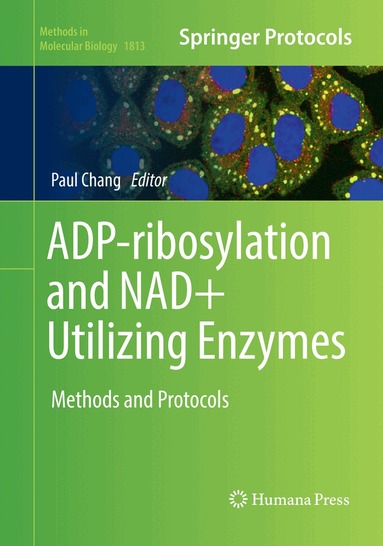 Paul Chang - ADP-ribosylation and NAD+ Utilizing Enzymes, Häftad