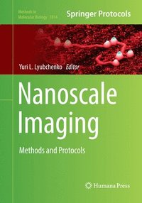 bokomslag Nanoscale Imaging