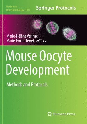 bokomslag Mouse Oocyte Development