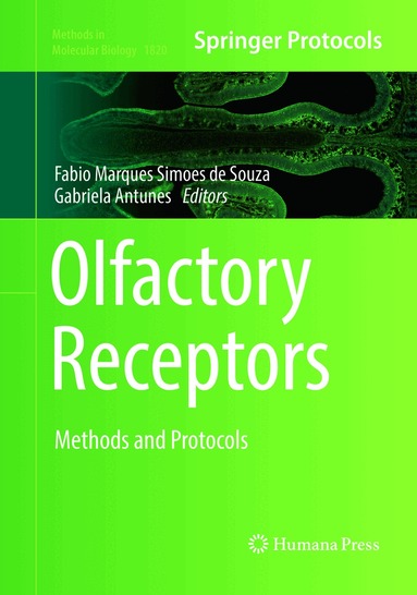 Fabio Marques Simoes de Souza, Gabriela Antunes - Olfactory Receptors, Häftad