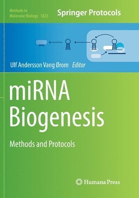 Ulf Andersson Vang Ørom - miRNA Biogenesis, Häftad