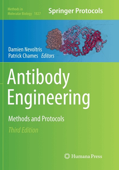 Damien Nevoltris, Patrick Chames - Antibody Engineering, Häftad