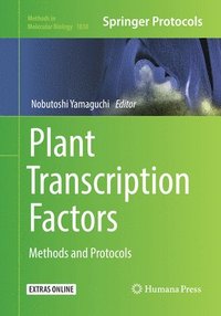 bokomslag Plant Transcription Factors