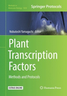 Plant Transcription Factors 1