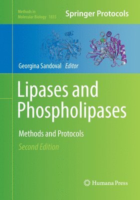 bokomslag Lipases and Phospholipases