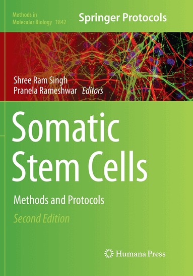 Shree Ram Singh, Pranela Rameshwar - Somatic Stem Cells, Häftad