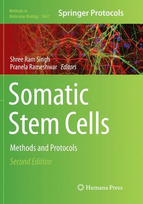 Somatic Stem Cells