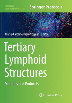 bokomslag Tertiary Lymphoid Structures