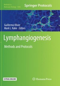 bokomslag Lymphangiogenesis