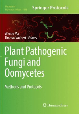 bokomslag Plant Pathogenic Fungi and Oomycetes