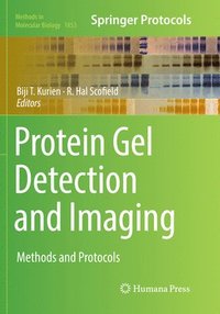 bokomslag Protein Gel Detection and Imaging