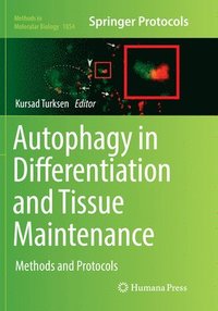 bokomslag Autophagy in Differentiation and Tissue Maintenance