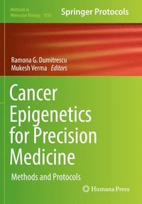 bokomslag Cancer Epigenetics for Precision Medicine