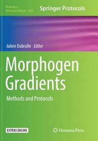 bokomslag Morphogen Gradients