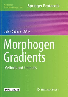 bokomslag Morphogen Gradients