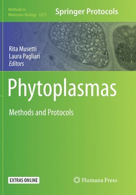 bokomslag Phytoplasmas