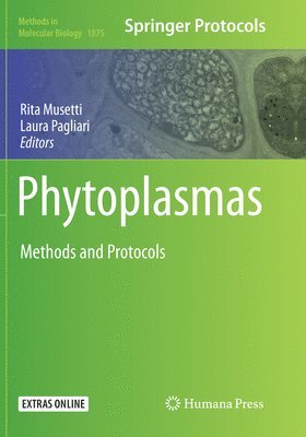 Rita Musetti, Laura Pagliari - Phytoplasmas, Häftad