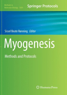 Myogenesis 1