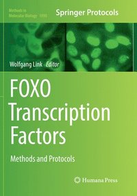 bokomslag FOXO Transcription Factors