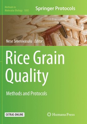 bokomslag Rice Grain Quality