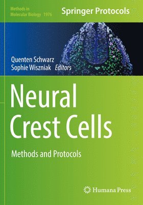 Quenten Schwarz, Sophie Wiszniak - Neural Crest Cells, Häftad