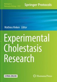 bokomslag Experimental Cholestasis Research