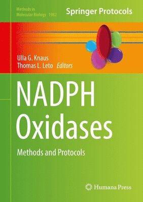 bokomslag NADPH Oxidases