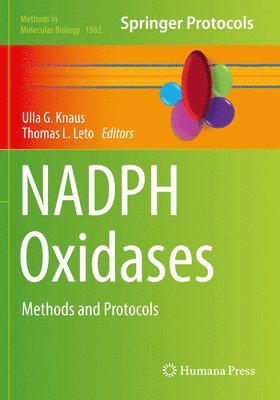 bokomslag NADPH Oxidases