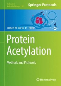 bokomslag Protein Acetylation