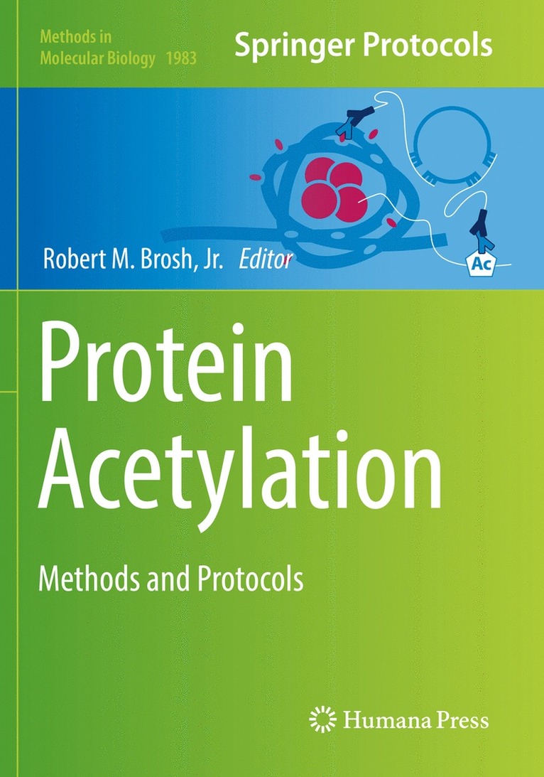 Robert M. Brosh, Jr., Robert M. Brosh Jr - Protein Acetylation, Häftad
