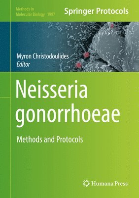 Neisseria gonorrhoeae 1
