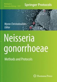 bokomslag Neisseria gonorrhoeae