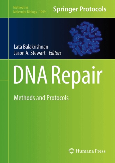 Lata Balakrishnan, Jason A. Stewart - DNA Repair, Inbunden